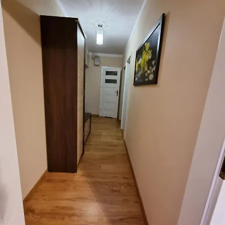 Apartament 17 *